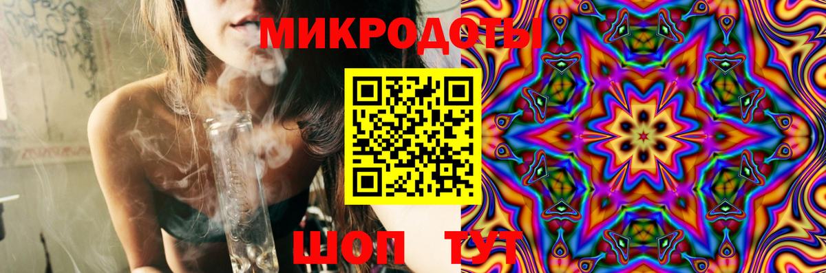 Галлюциногенные грибы Psilocybine cubensis Белорецк
