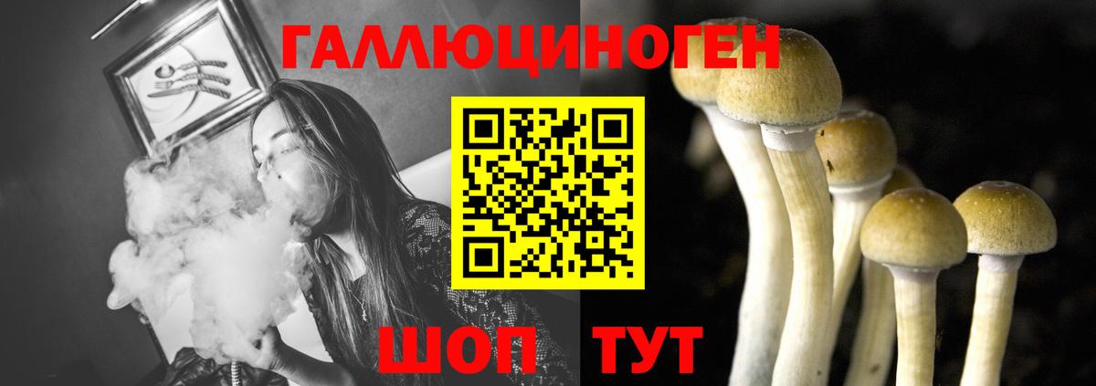 Белорецк  Псилоцибиновые грибы Psilocybe  Вход с VPN  купить наркоту  Галлюциногенные грибы мицелий 